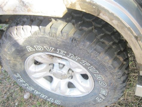 Лесная прогулка :) — DRIVE2