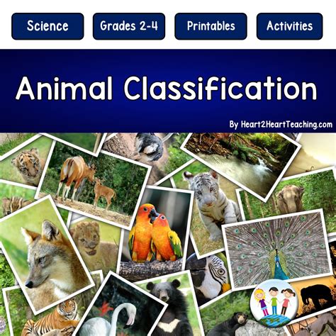 mammals fish reptiles amphibians  birds    donald altman blog