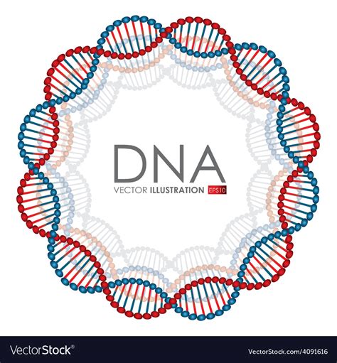 Dna design Royalty Free Vector Image - VectorStock