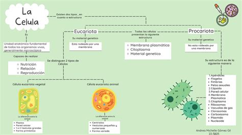 Esquema De La Célula Esquemas Y Mapas Conceptuales De Ciencias De La Tierra Y Del Medio