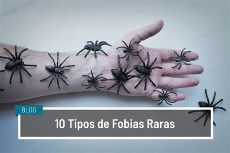 Tipos De Fobias Raras RETOEDU