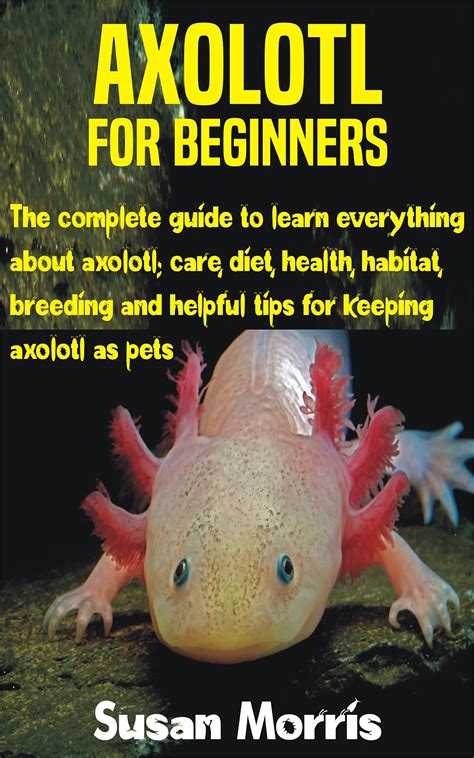 Buy AXOLOTL FOR BEGINNERS The Complete Guide To Learn Everything About