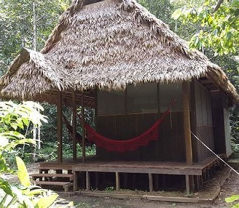 5 Day Jungle Tour Madidi Jungle Ecolodge