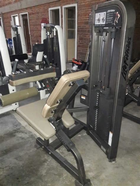 Life Fitness Pro 2 Se Seated Leg Curl Rosalia