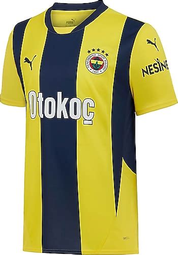 Puma 775360 01 2024 2025 İç Saha Erkek Çubuklu Fenerbahçe Forması