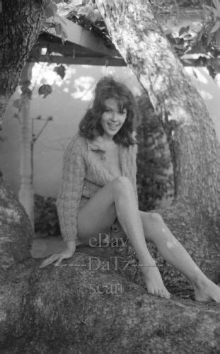 1960s Negative Sexy Brunette Pinup Girl June Bower Cheesecake T70928 EBay