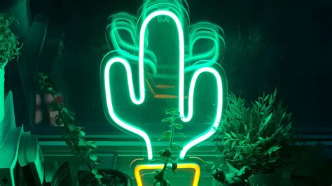 Wallpaper neon, cactus, flowers, light, green hd, picture, image