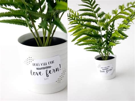 Love Fern Valentine Printables See Kate Sew Bloglovin