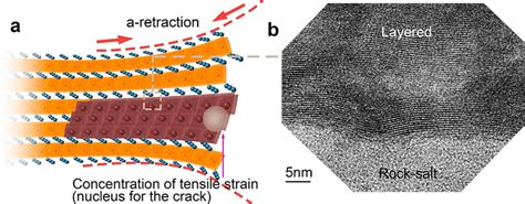 (a) Schematic showing the tensile strain concentrated in the surface... | Download Scientific ...