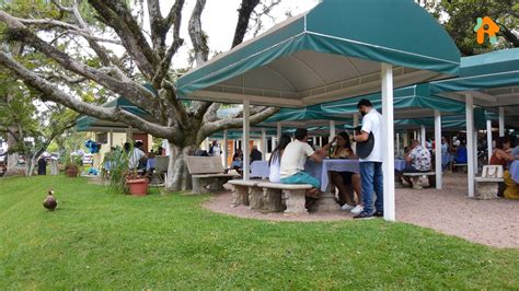 Os Melhores Restaurantes Para Voc Aproveitar O Turismo Rural No