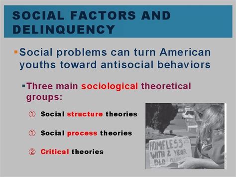 Chapter Sociological Views Of Delinquency Learning Objectives