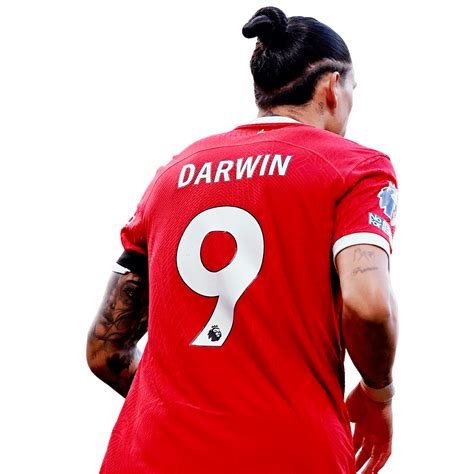 Darwin Nu Ez Png Render Liverpool Imagen