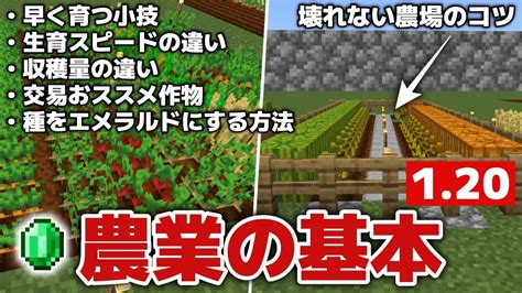 【マイクラ120初心者講座6】エメラルド稼ぎ必須知識・農業の基本・種をエメラルドに変える方法・成長スピード・小技・収穫量・壊れないコツ