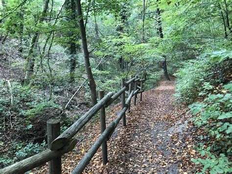 Nachtigallental Mountain Bike Trails & Tracks | Komoot
