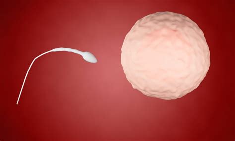 Nude Woman Wields Spiked Club In Daylight Venice Beach Brawl Middle America News