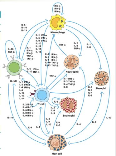 Chapter 4 - Receptors and Signaling - Cytokines and Chemokines ...