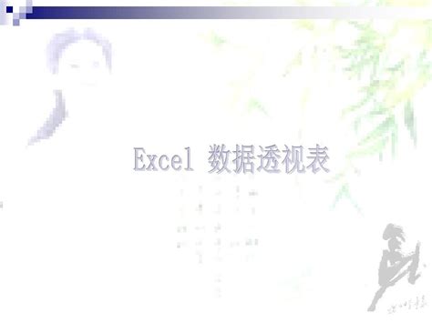 Excel2007数据透视表从入门到精通 Word文档免费下载 亿佰文档网