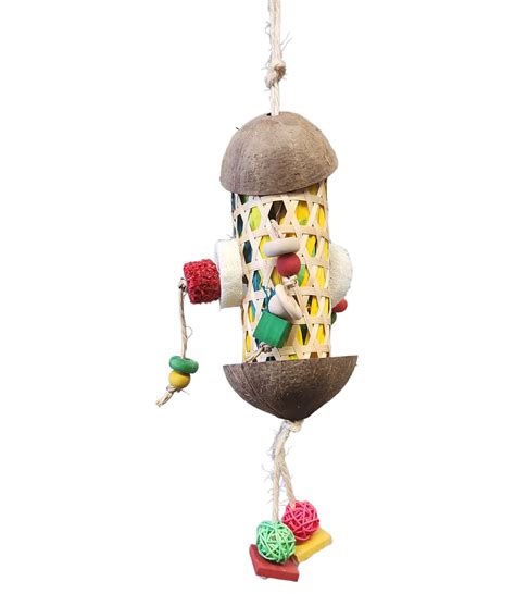 foraging coco basket xcm