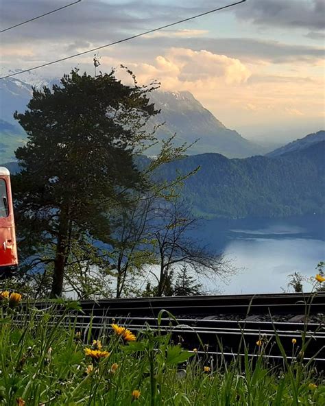 Rigi Wagen Knacken Millionen Kilometer Marke PilatusToday