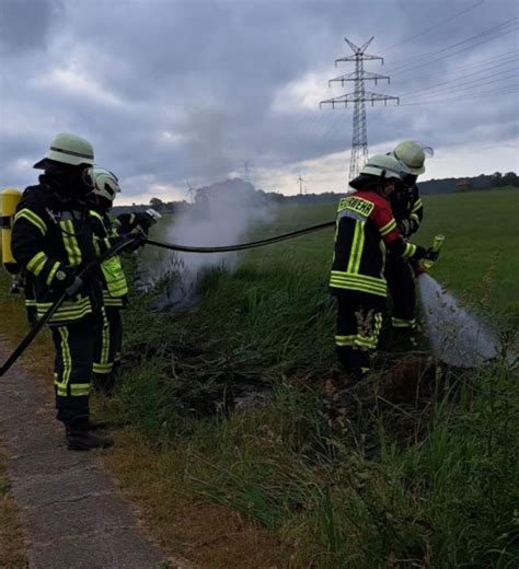 Grabenaushub am Apeler See sorgt für Feuerwehreinsatz Einsatzbericht