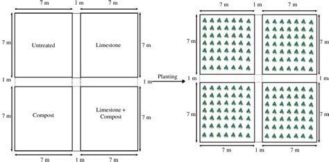 Design Of The Experimental Plots A Layout Of The Sub Plots B