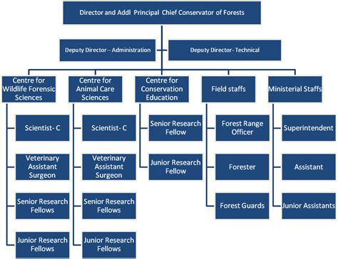 Organizational Structure Organizational Chart Business Png | Images and ...