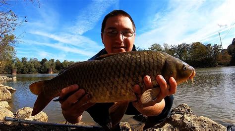 Fall Carp Fishing At Least Trying To Youtube