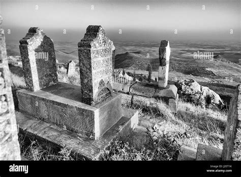 Black And White Graves Hi Res Stock Photography And Images Alamy