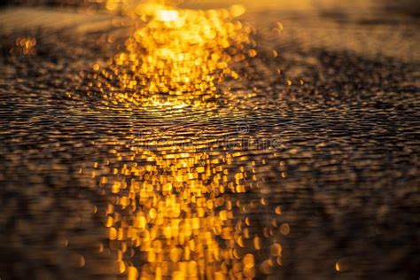 Reflejo De Luz De La Puesta Del Sol En La Arena Y El Agua Mojadas De La