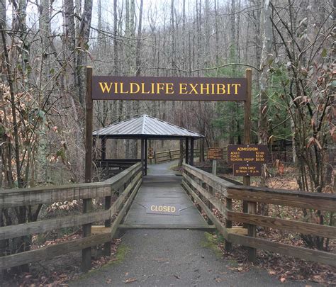 Chief Logan State Park: A Complete Guide to West Virginia’s Premier