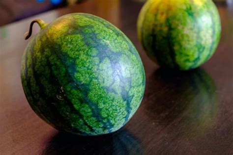 All About The Mini Piccolo Watermelon Minneopa Orchards