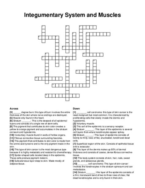 Integumentary System And Muscles Crossword Puzzle