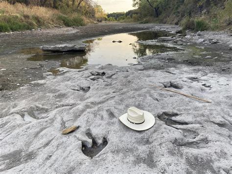 Seca nos EUA revela pegadas de dinossauros de 113 milhões de anos