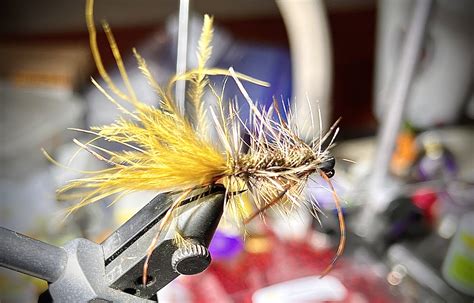 Woolly Bugger Fly Pattern Recipe Fly Fishing Fly Tier