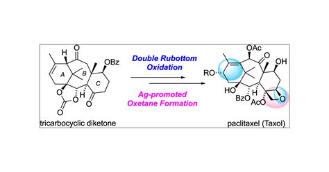 Total Synthesis Of Paclitaxel Organic Letters