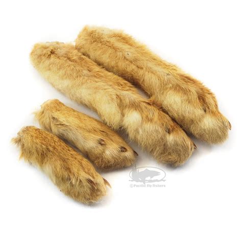 Snowshoe Rabbit Feet | Pacific Fly Fishers