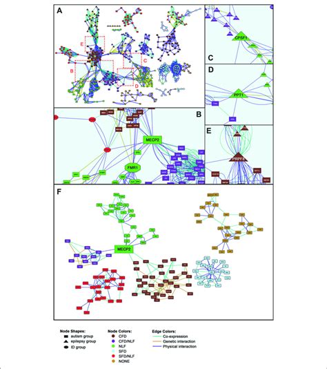 Gene Interaction Network A Full Gene Interaction Network See Download Scientific Diagram