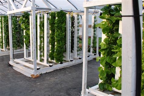 Hydroponic Tower Diy How To Build Your Own Hydroponic Tower Garden