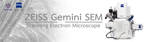 Zeiss Gemini Sem