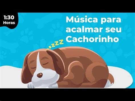 MÚSICA PARA ACALMAR CACHORRO INFALÍVEL RELAXAR CACHORRO MÚSICA PARA