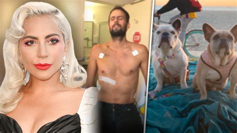 Ryan Fischer Paseador De Los Perros De Lady Gaga Sale Del Hospital