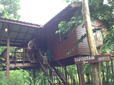 Jungle Tree House - Adventures with Jonah