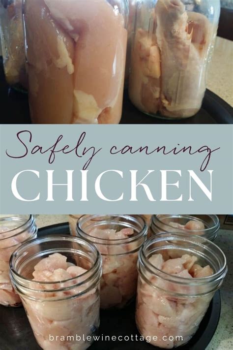 Chicken Canning Basics ~ An Easy Guide Bramble Wine Cottage