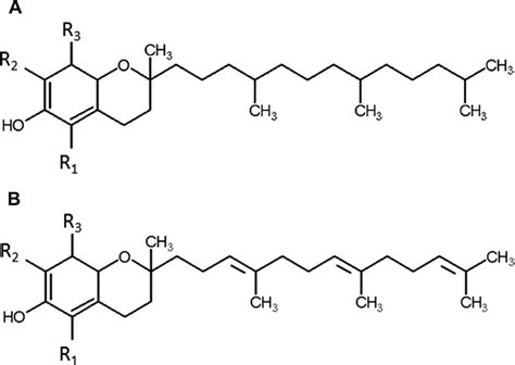 The Structure Of Vitamin E A Tocopherols And B Tocotrienols