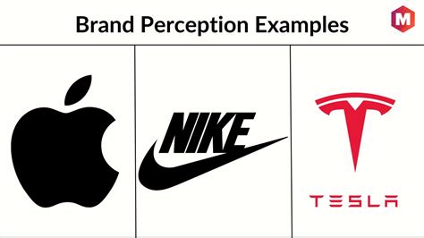 What Is Brand Perception? How to Measure It with Examples | Marketing91