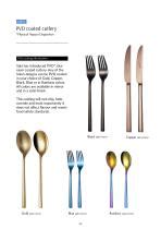 Sola Airline Railway Cutlery Brochure Sola Airline Cutlery B V