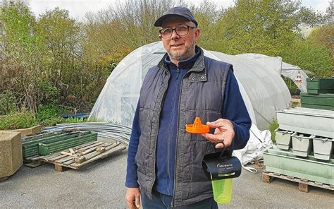 Une Op Ration De Pi Geage Des Reines Frelons Asiatiques Pont Aven