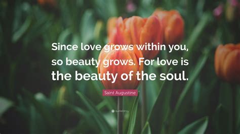 Saint Augustine Quote Since Love Grows Within You So Beauty Grows