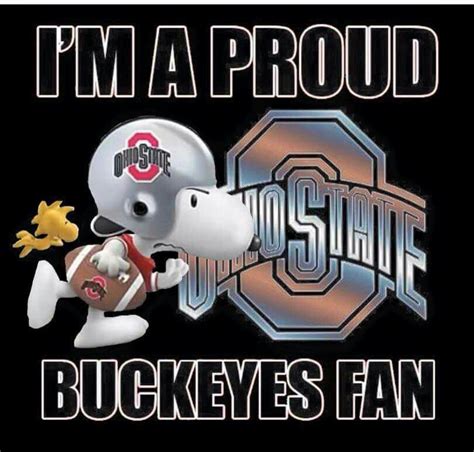 I Love The Ohio State Buckeyes They Are Awesomei Am A Buckeyes Fan