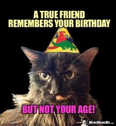 260 Funny Animal Birthday Memes ideas | birthday humor, animal birthday ...